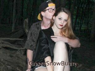 GingerSnowBunny