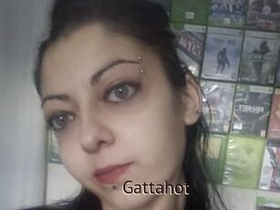 Gattahot