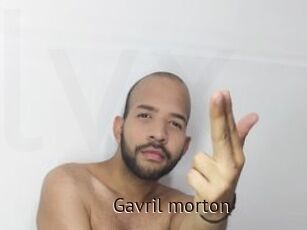 Gavril_morton