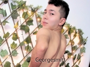 Georgesmitt