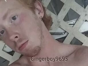 Gingerboy9695