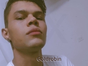 Goldrobin