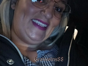 Grosseins88