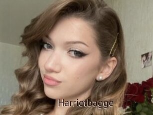 Harrietbagge