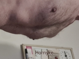 Hornyke