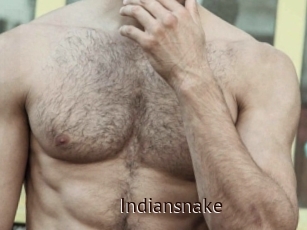 Indiansnake