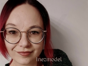 Inezmodel