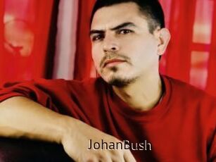 JohanBush