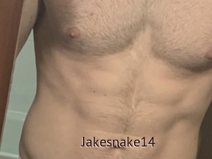 Jakesnake14