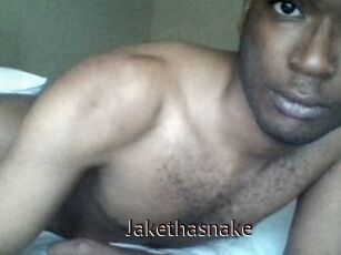 Jake_tha_snake