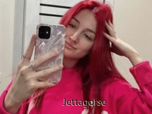 Jettagorse