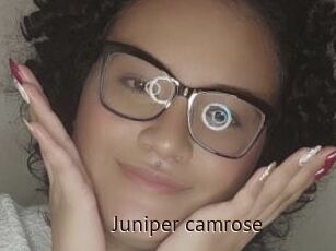 Juniper_camrose