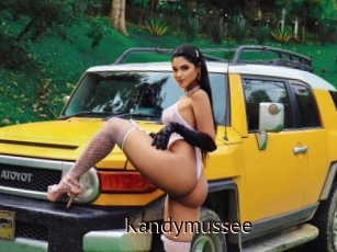 Kandymussee