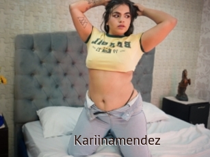 Kariinamendez