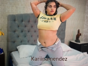 Kariinamendez