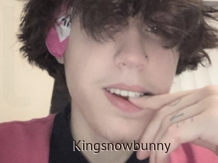 Kingsnowbunny