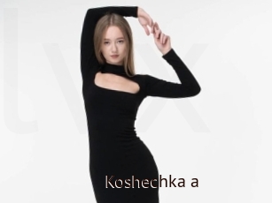 Koshechka_a