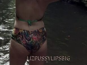 LIZPUSSYLIPSBIG