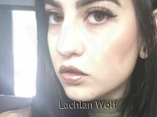 Lachlan_Wolf