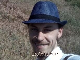 LeoWildFire