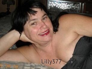 Lilly377