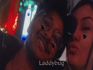 Laddybug