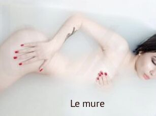 Le_mure