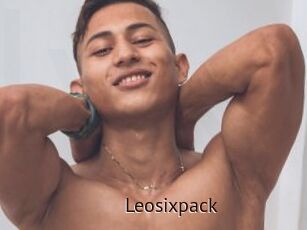 Leosixpack