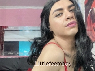 Littlefeemboy