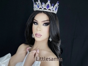 Littlesamm