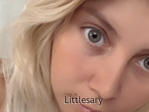 Littlesary