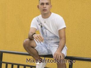 MikeSantodomingo