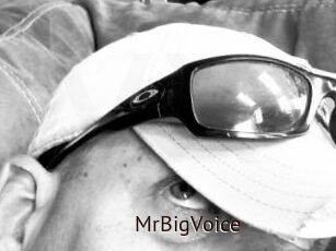 MrBigVoice