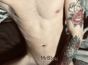 MrBleu