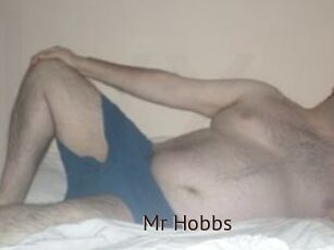 Mr_Hobbs