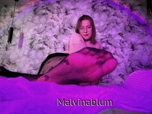 Malvinablum