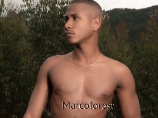 Marcoforest