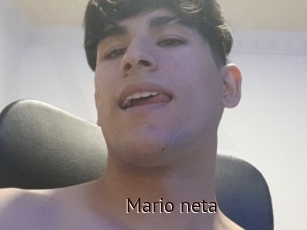 Mario_neta