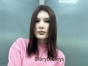 Marybibleys