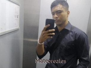 Mateoreales