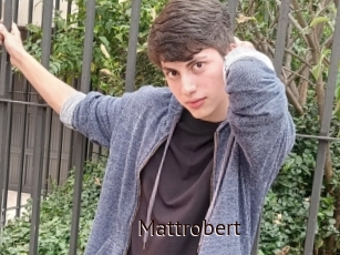 Mattrobert