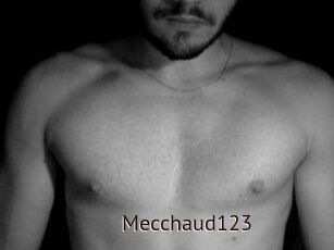 Mecchaud123