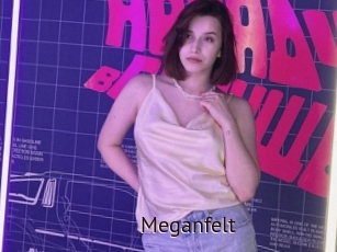 Meganfelt