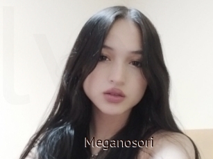 Meganosori