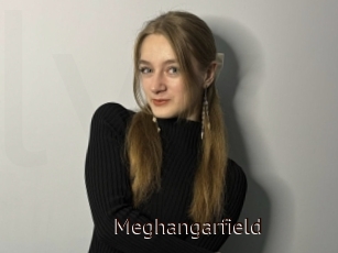 Meghangarfield