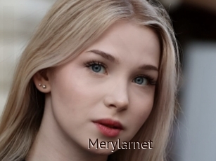 Merylarnet