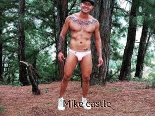 Mike_castle