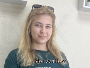 Moirecatlow