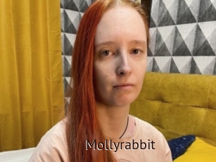 Mollyrabbit