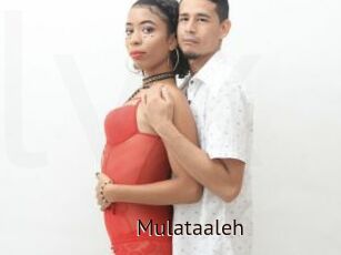 Mulataaleh